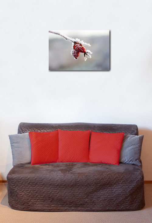 Autorská fotografie — foto 2