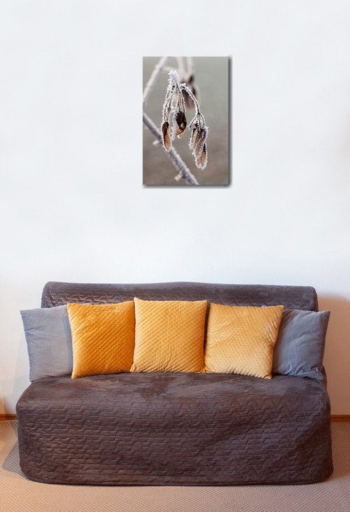 Autorská fotografie — foto 2