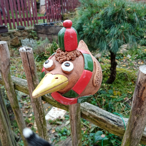 Zimní pták — foto 2