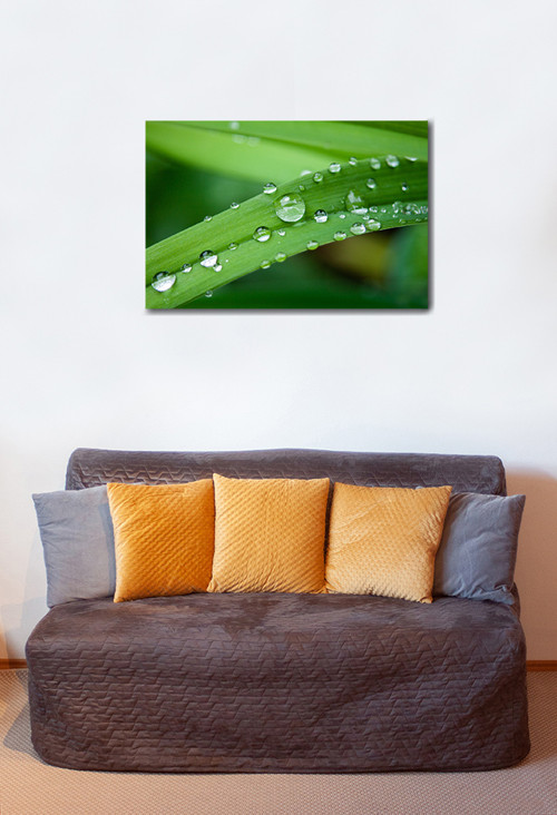 Autorská fotografie — foto 2