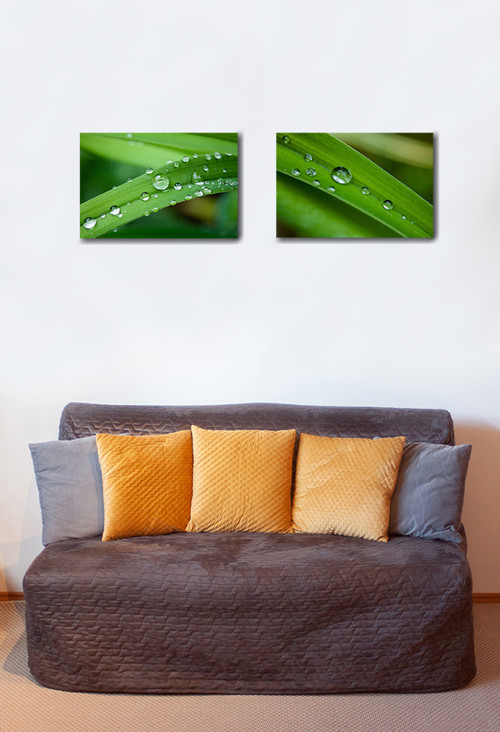 Autorská fotografie — foto 3