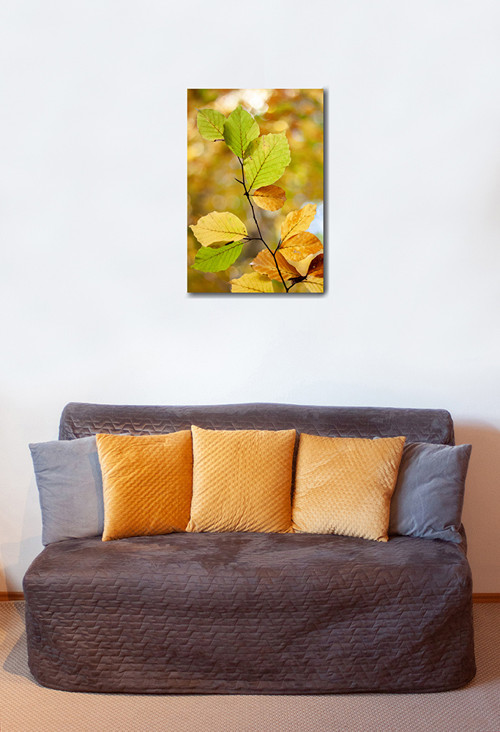 Autorská fotografie — foto 2
