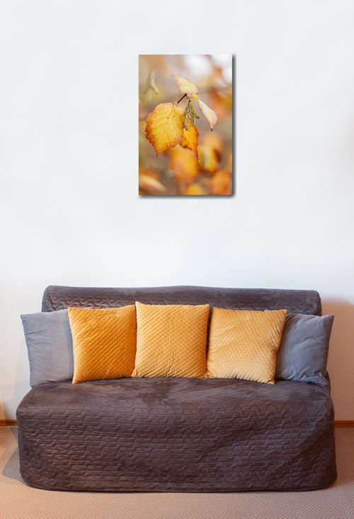 Autorská fotografie — foto 2
