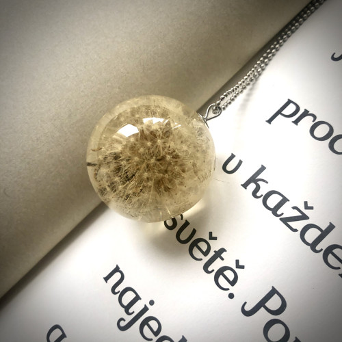 Koule pampeliška — foto 3