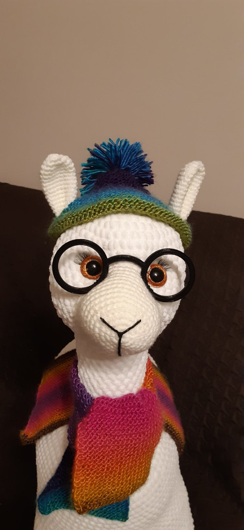 Lama — foto 3