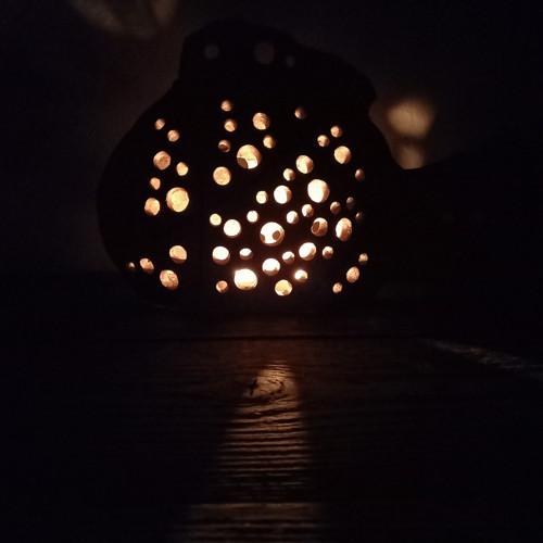 Ryba ...s kormidlem — foto 6