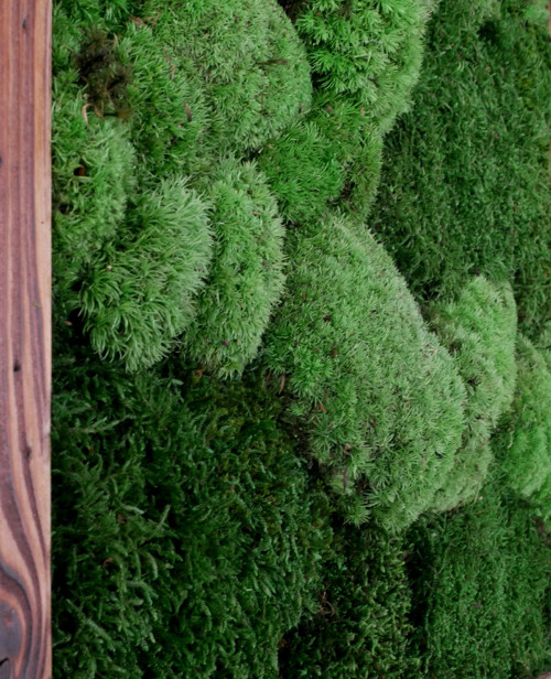 Mechový obraz "Nature" — foto 2