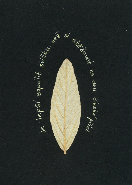 Zapal svíčku — foto 2