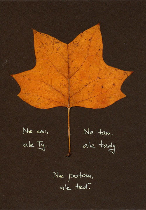 Tady a teď — foto 2