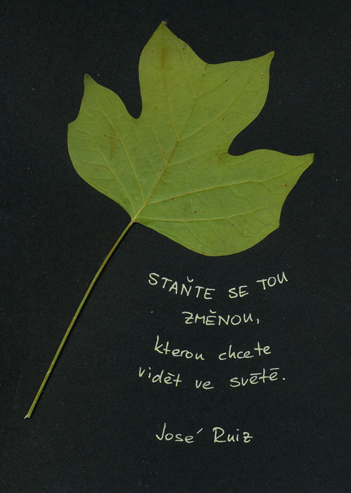 Staň se změnou — foto 2