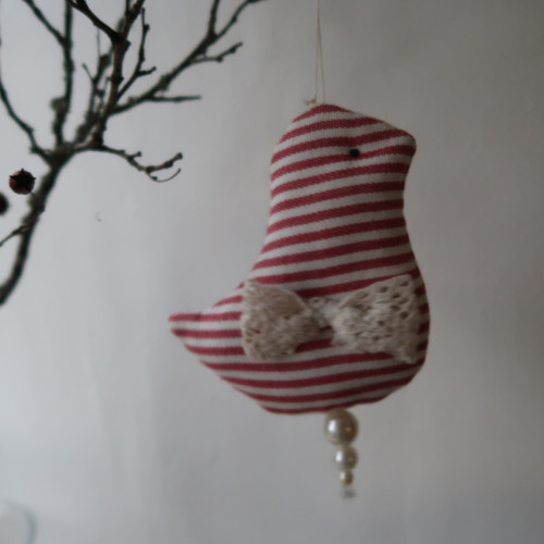Bavlněný ptáček — foto 4
