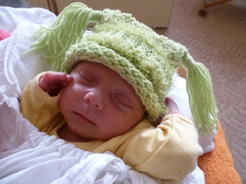 Newborn čepička zelenkavá — foto 6