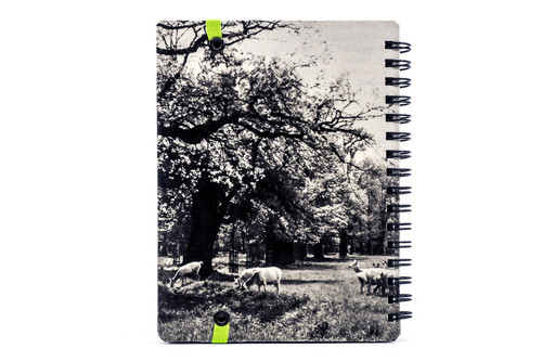 KA_LEN_DIAR 2021 - PAPER / no. 270 — foto 6