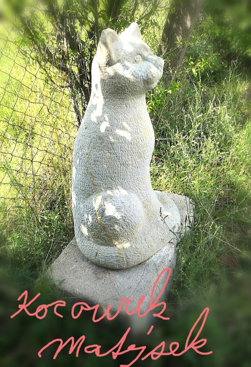 Kocourek Matýsek — foto 5