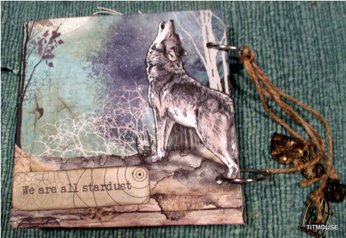Volání divočiny - scrapbookový zápisník — foto 2