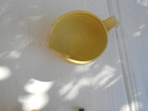 Žlutý svícínek — foto 2