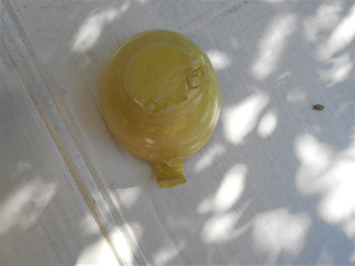 Žlutý svícínek — foto 5