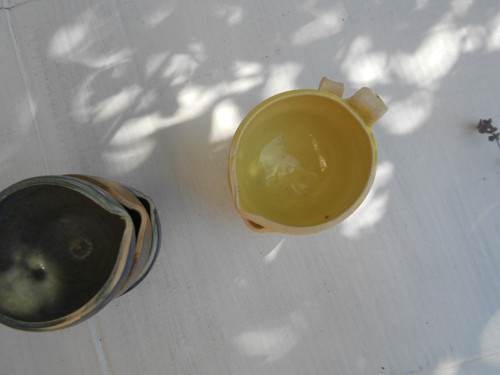Žlutý svícínek — foto 6
