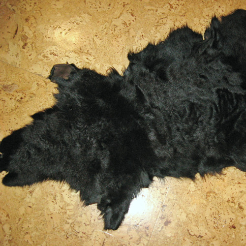 Kožešina pod psa 15008 — foto 2
