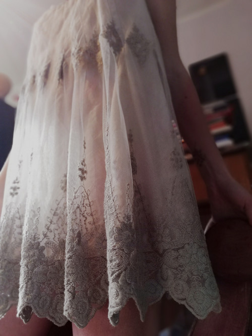 Vílí křehké — foto 3