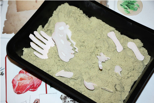 Malý Objevitel - Paleontolog (pdf) — foto 5