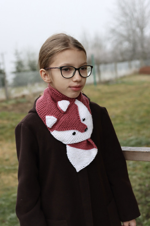 Liška šedivá — foto 4