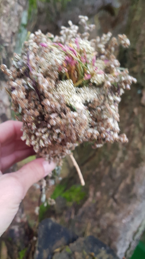 Vykuřovací bylinný smotek — foto 2