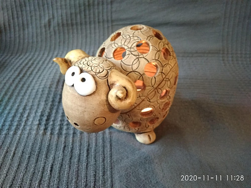 Svícen beránek — foto 5