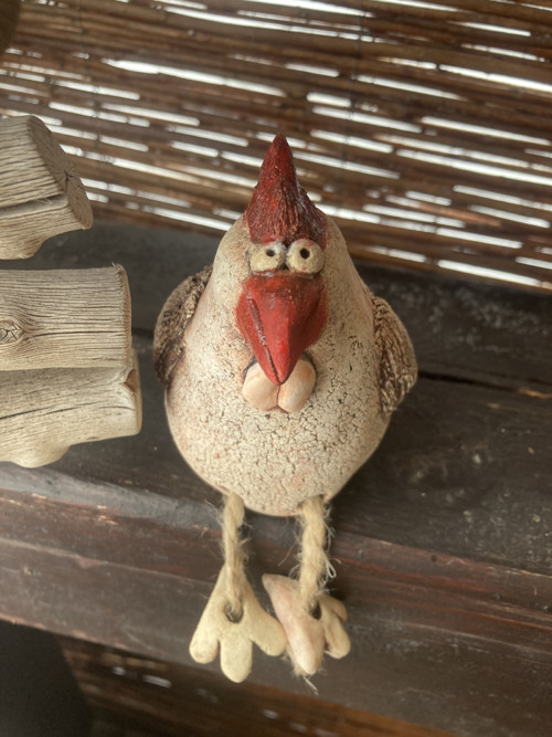 Slepička — foto 6