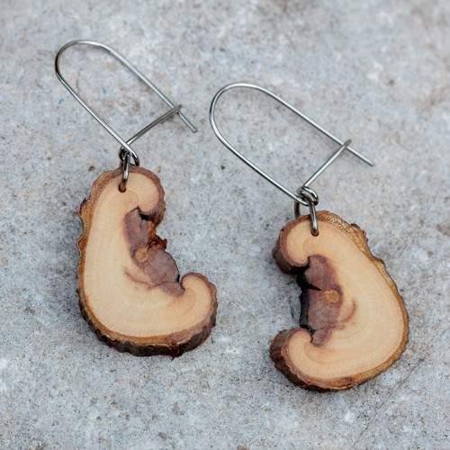 Embryo — foto 4