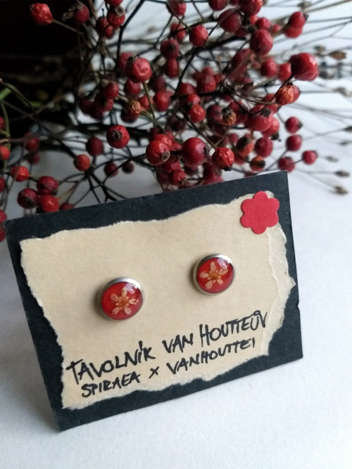 Náušnice s tavolníky — foto 2