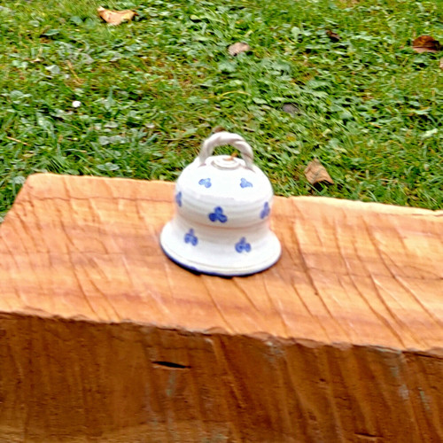 Zvonek bílý — foto 2