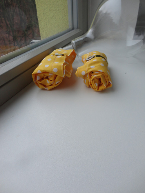 Sígr se vydal za sluncem — foto 5