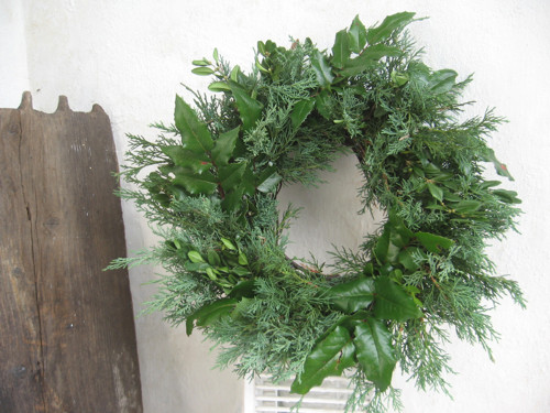 Jalovec, buxus, mahon..... — foto 5