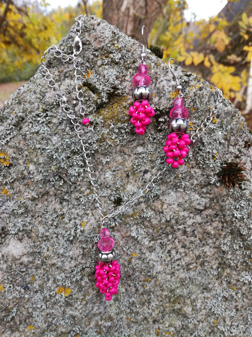 Zčervenala malina — foto 2