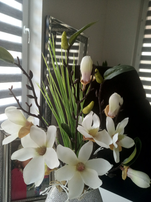 Celoroční dekorace s magnolií — foto 3