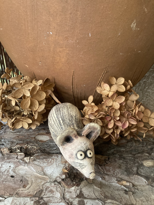 Myška — foto 3