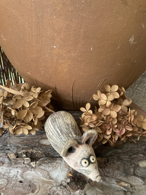 Myška — foto 5