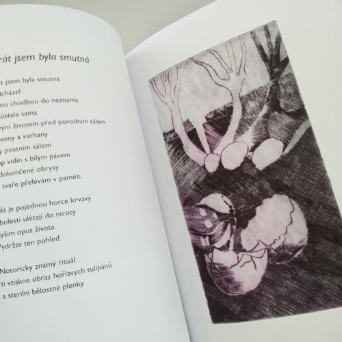 Kalvárie lásky — foto 5