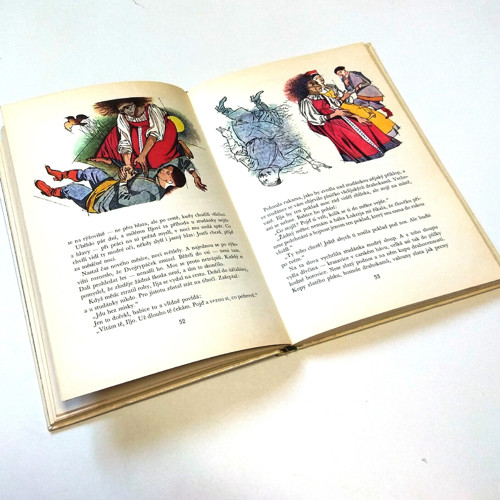 Kamenný kvítek — foto 3