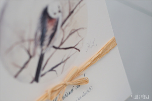 Dopisní sada & monogram *Mlynařík* — foto 5