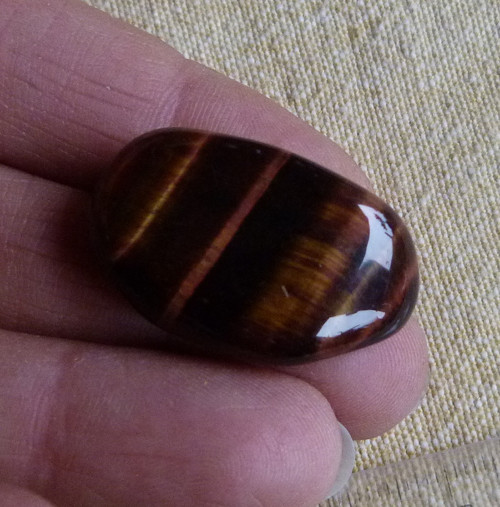 Býčí oko - 3,1 cm - Extra — foto 3