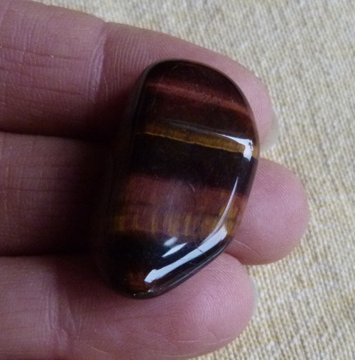 Býčí oko - 3,1 cm - Extra — foto 2