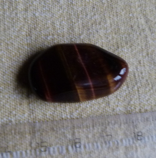 Býčí oko - 3,1 cm - Extra — foto 5