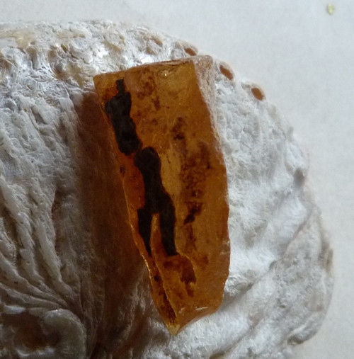 Jantar surový - Kopál - 4,3 cm — foto 6