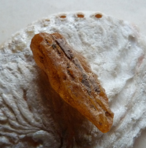 Jantar surový - Kopál - 4,3 cm — foto 5