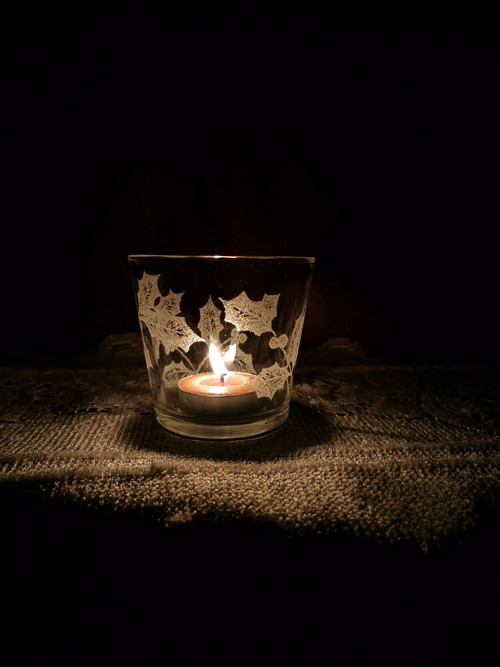 Vánoce mahonie — foto 2