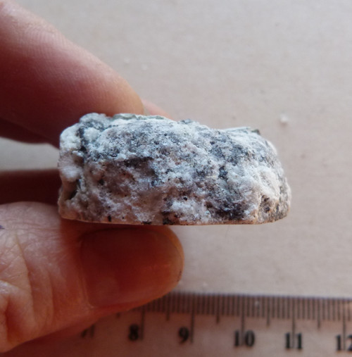 Chalcedon hadí oko - 3,4 cm — foto 5