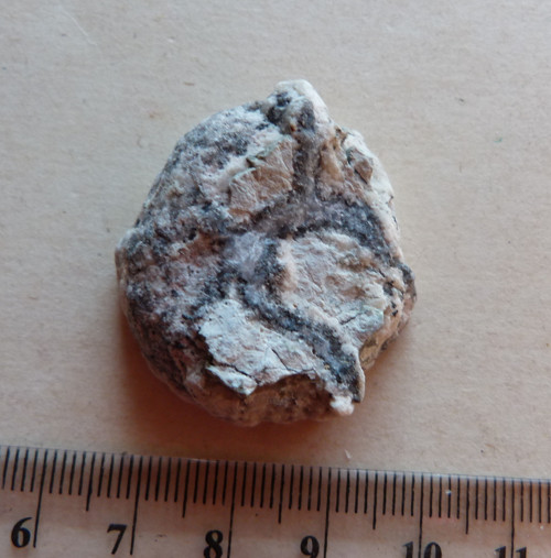 Chalcedon hadí oko - 3,4 cm — foto 4