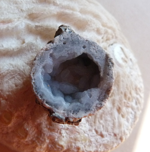 Chalcedon hadí oko - 3,4 cm — foto 6